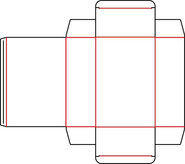 Perfume Carton (Style C)