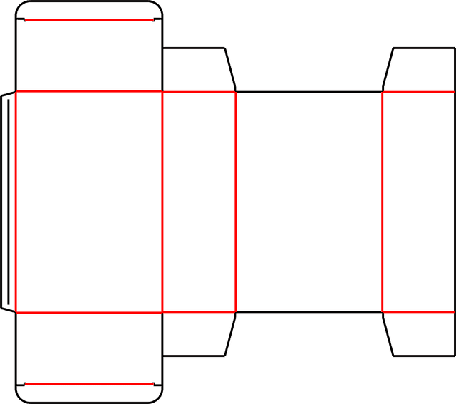 Perfume Carton (Style B)
